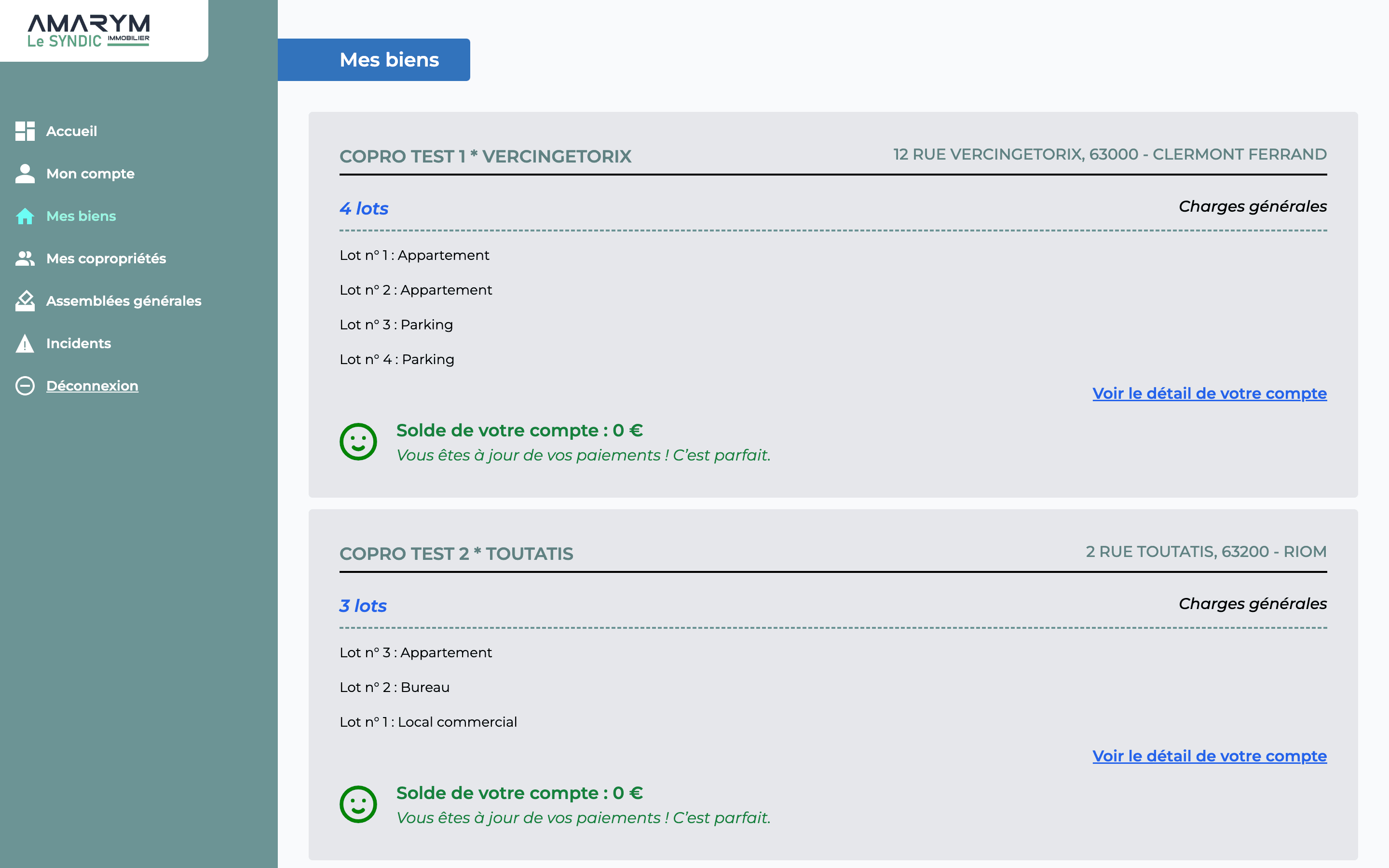 Capture de la page de visualisation des biens du projet Syndic by Amarym